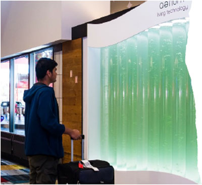 Natural air purification using live algae