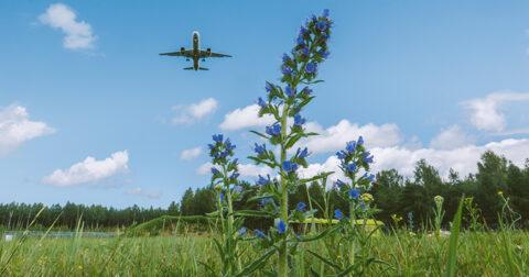 Riga Airport strengthens sustainable development with undertaking to reach zero CO2e emissions by 2035